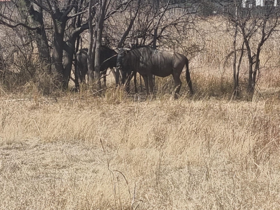 Commercial Property for Sale in La Camargue Private Country Estate North West